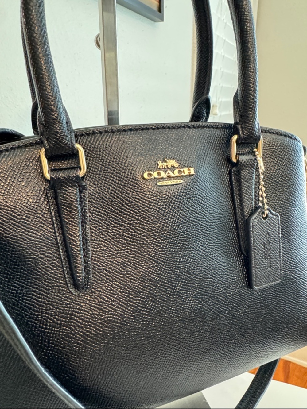 Coach Mini Sage Carryall Satchel Bag